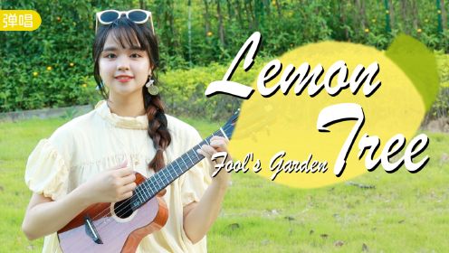 lemon tree 柠檬树  fool's garden 尤克里里弹唱