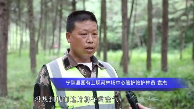 好空气卖出100万元——陕西宁陕县发展生态经济探索“点绿成金”