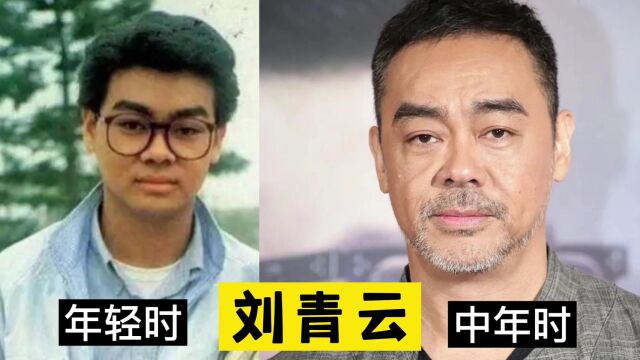 年轻时长相普通,中年后却帅得没边的10位男明星,个个让女人心动