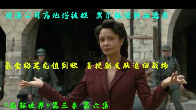 【西部世界3解读】提洛公司高地塔被推,黑尔守家丝血逃生.氪金玩家梅芙喜提新皮肤.西部世界 第三季 第6集