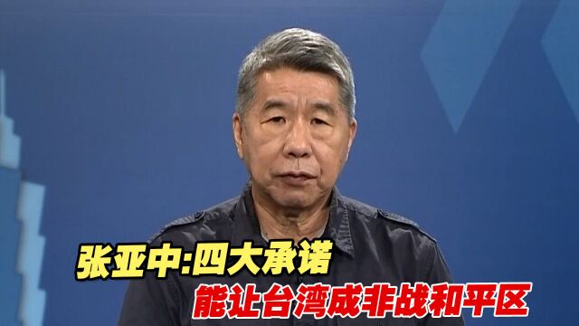 张亚中:四大承诺能让台湾成非战和平区