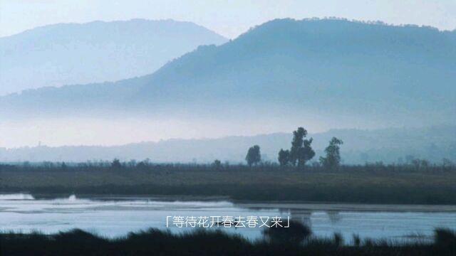 海南儋州美丽风景