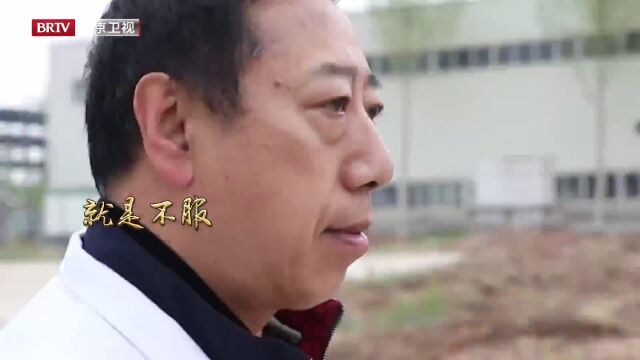 《为你喝彩》系列节目《我们这十年》| 科技人才扎根北京沃土 成就科技创新之树