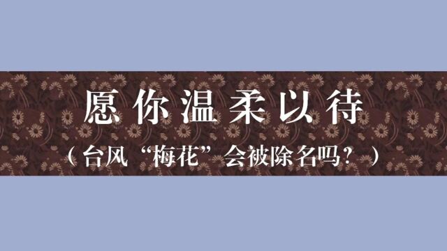 台风梅花会被除名吗?盘点被除名的台风,名字看似温柔实则凶悍