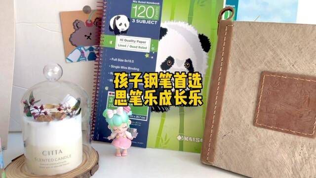 好孩子的第一支钢笔选它就对了#文具安利 #学习用品 #文具用品 #种草