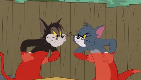 猫和老鼠：汤姆和黑猫未获得芳心比赛！居然杀出个程咬金