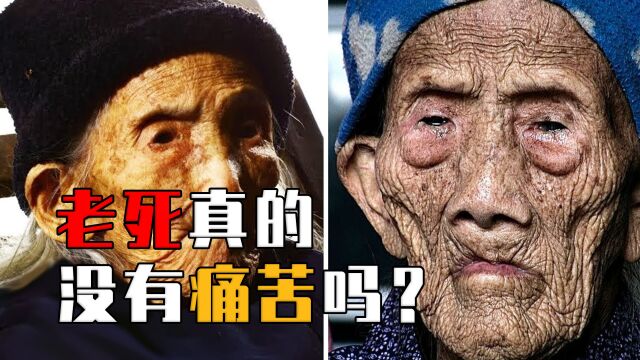 老死真的没有痛苦吗?科学研究揭秘真相,仅极少有人能够老死!