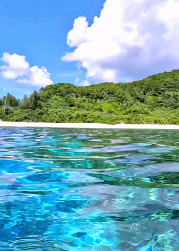 玻璃海_腾讯视频