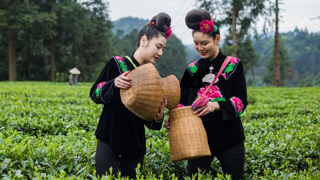 多彩贵州,美丽雷山.