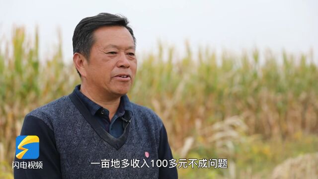 广饶:效率提升10多倍 秋收“田保姆” 助农增效益