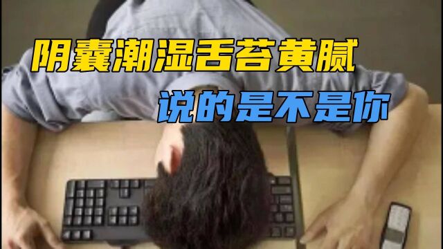 阴囊潮湿、但是舌苔黄腻,说明体内有湿热