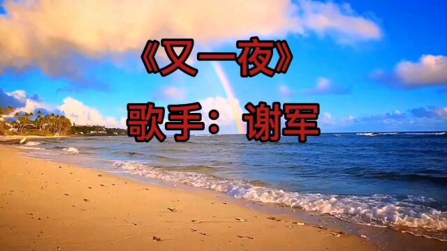 歌曲:又一夜