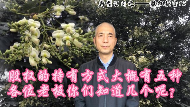 股权的持有方式大概有5种,各位老板你们知道几个呢?