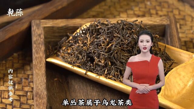 单丛茶是乌龙茶类