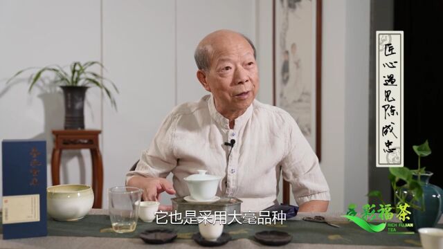 多彩福茶︱一盏清茶 幽香入心“九窨ⷦ‰月”