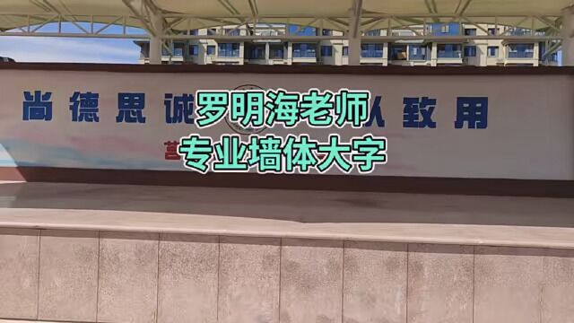 专业墙体彩绘 写墙体大字 #文化墙