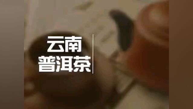 中国茶文化系列【十三大名茶】之普洱茶