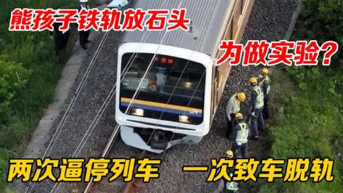 2020年日本熊孩子在铁轨放石头，致火车脱轨，警方猜测是乌鸦干的