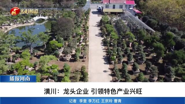 潢川:龙头企业 引领特色产业兴旺