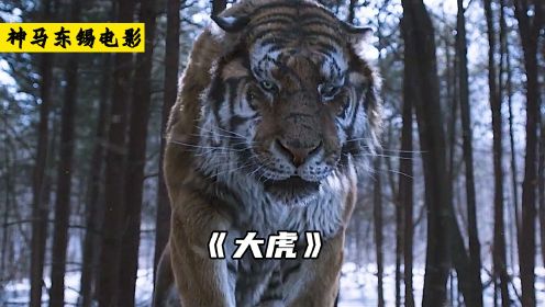 第1集，凶猛的老虎，单挑整个R军部队。