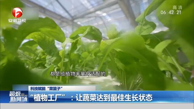 河南:科技赋能“菜篮子”,让蔬菜达到最佳生长状态