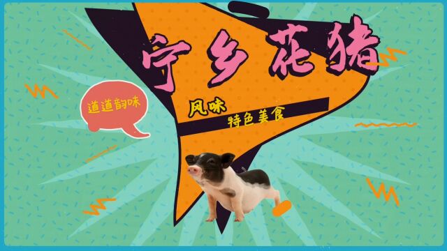 寻味ⷮŠ宁乡花猪:黄焖花猪肉