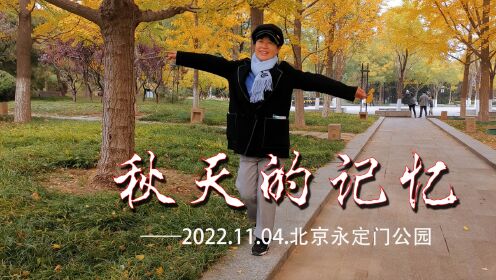 秋天的记忆——2022.11.04.北京永定门公园