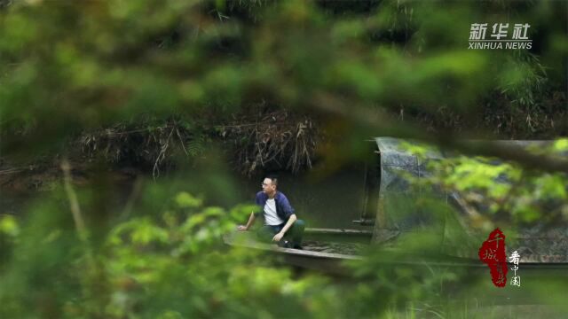 千城百县看中国|福建尤溪:沈溪河畔半山村