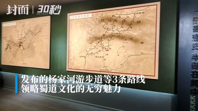 30秒丨蜀道阆中馆揭牌 感受蜀道文化无穷魅力