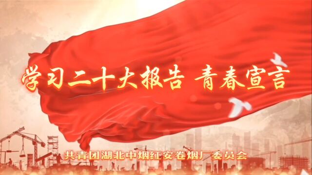 学习二十大报告青春宣言