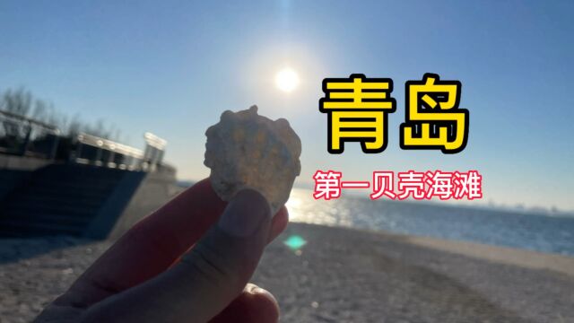 青岛白贝壳海滩