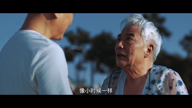 歌曲《乡愁》MV首发仪式举行