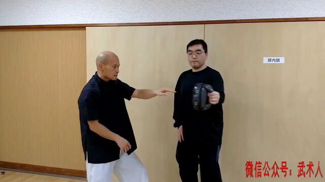 日本形意拳练习演练车派形意拳劈拳明劲暗劲化劲