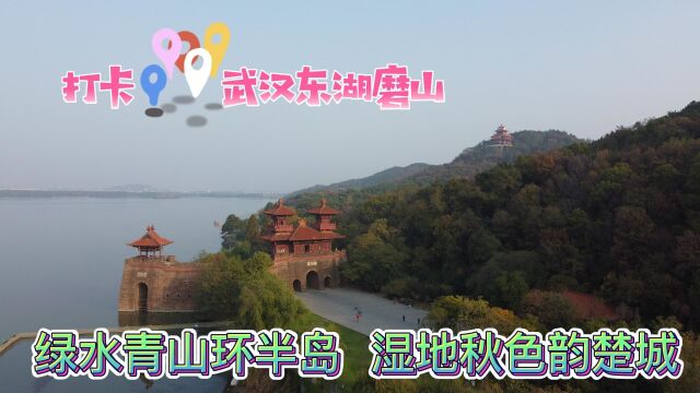 打卡武汉东湖磨山,绿水青山环半岛,湿地秋色韵楚城