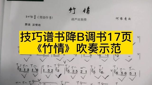 技巧谱书降b调书17页《竹情》吹奏示范 #简谱视唱 #乐器演奏 #葫芦丝
