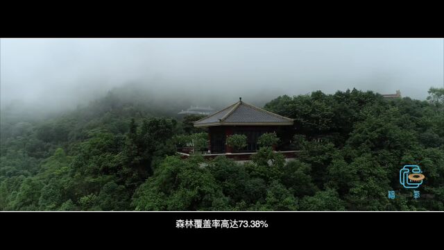 漳州的她,是中国天然氧吧!