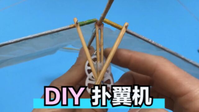 DIY扑翼飞行器,仿生机器鸟