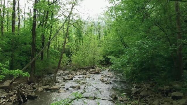 放松身心 治愈系风景