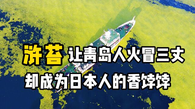 青岛人恨得牙痒痒的浒苔,到日本成了香饽饽,一斤卖到380