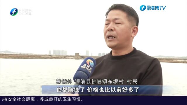 漳浦:河鲀特色产业带动 上榜第十二批全国“一村一品”示范村