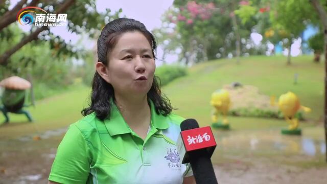 椰视频 | “全国媒体看屯昌”采访团走进屯昌县梦幻香山旅游区感受“花的世界,香的海洋”