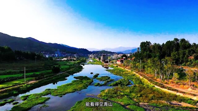 美丽庭院 家家来建 | “小庭院”扮靓乡村“大环境” 