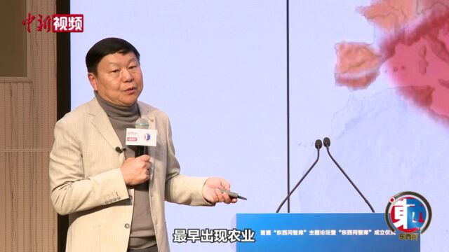 【东西问】许宏:只懂中国已经搞不清中国了