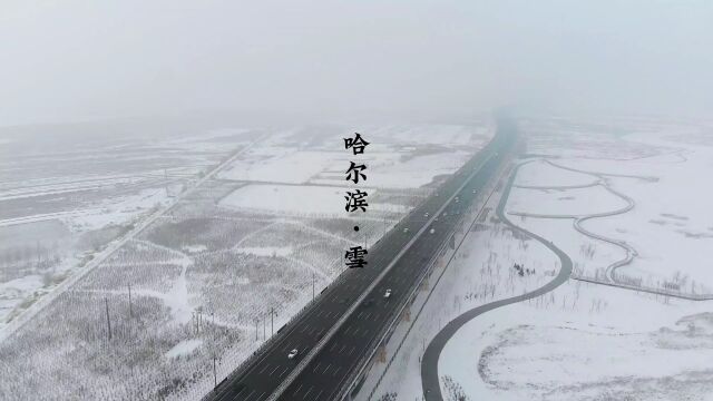 雪中的哈尔滨,心中的风景