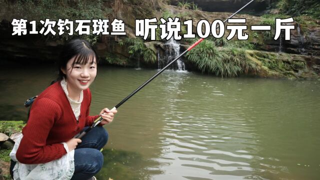 山里小河沟能钓到石斑鱼,1斤能卖100多元,猜猜我今天钓了多少?