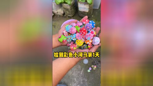 彩色小乌龟，你见过吗？