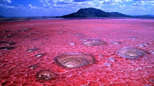 现实世界的地上冥河，动物们被钙化成了雕像，湖水呈现诡异血红色