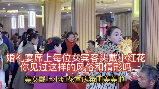 苏州光福渔港村,婚礼宴席上一片小红花,每位参加婚宴的美女都头戴小红花,你见过这样的风俗和现场情形吗?真是喜庆的日子红彤彤,开心的笑脸暖融融!