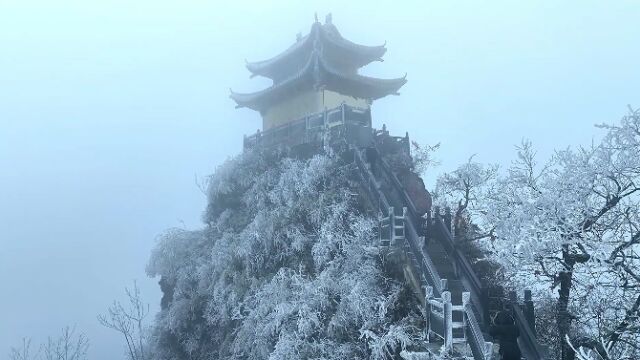 “玉树银花”悄然开!怀化靖州飞山迎来今冬首场雾凇