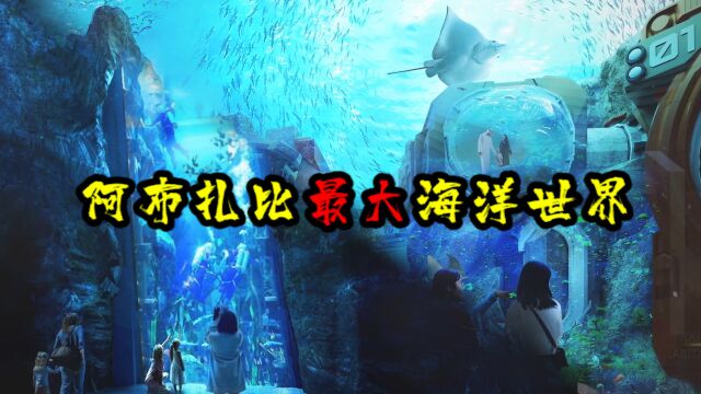 世界上最大的海洋世界,储水量可达5万多升,水族馆玻璃不会裂吗